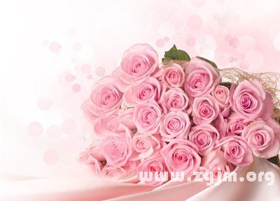 玫瑰花语
