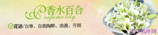 香水百合花语:送香水百合代表什么意思?